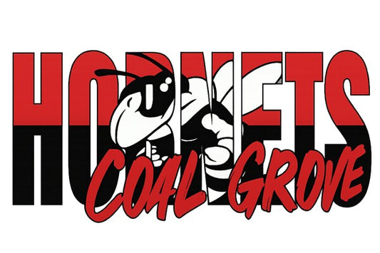 Premium Blanket 100 x 70 cm / 27" x 40"