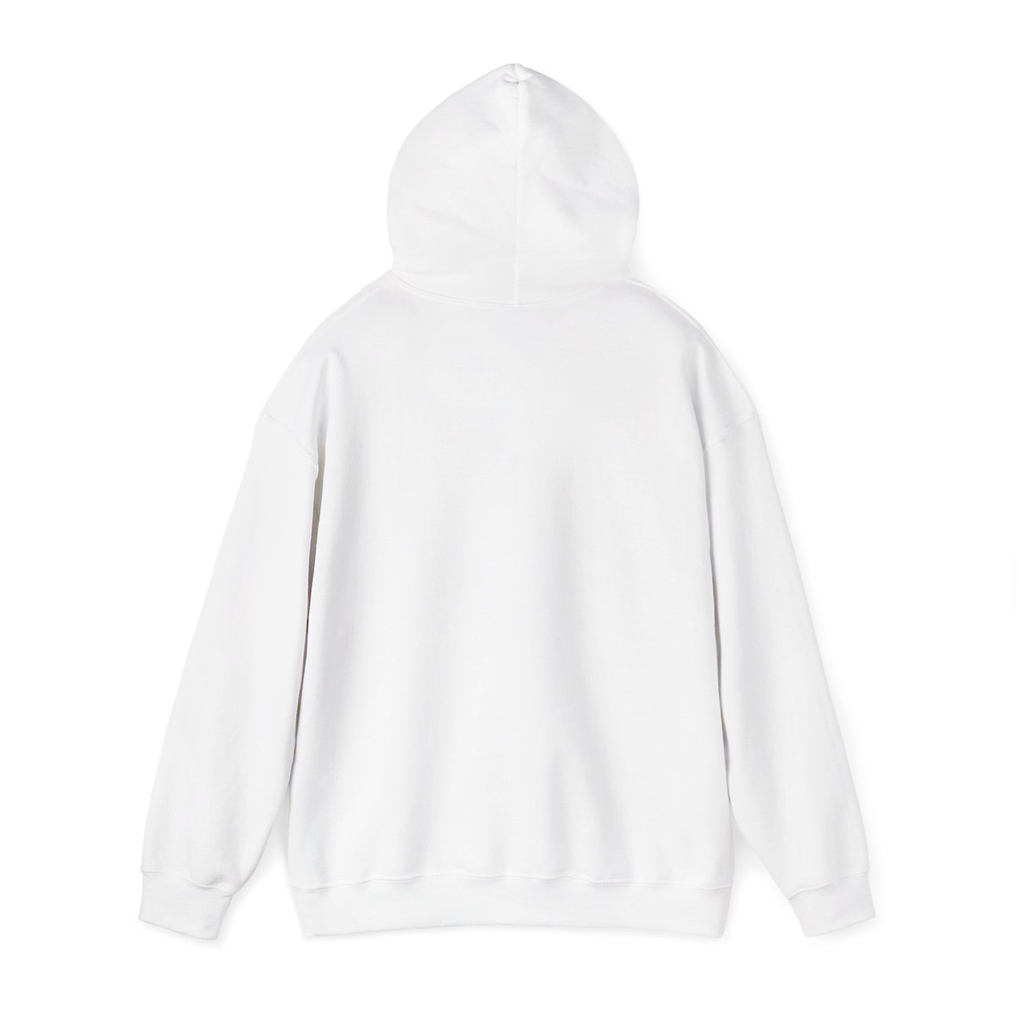 Hoodie — "Don't Be Afraid to Get On Top. If He Dies, He Dies" Retro Flamingo Graphic