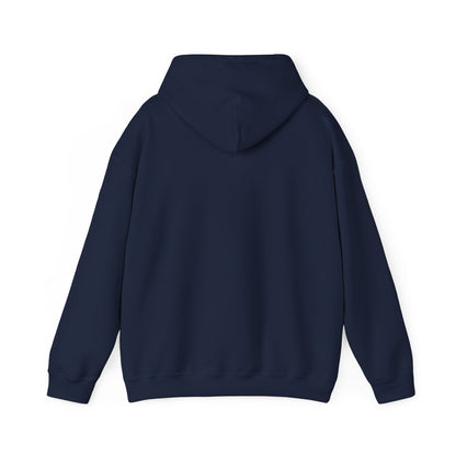 Hoodie — "Don't Be Afraid to Get On Top. If He Dies, He Dies" Retro Flamingo Graphic