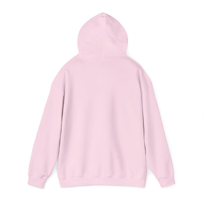 Hoodie — "Don't Be Afraid to Get On Top. If He Dies, He Dies" Retro Flamingo Graphic