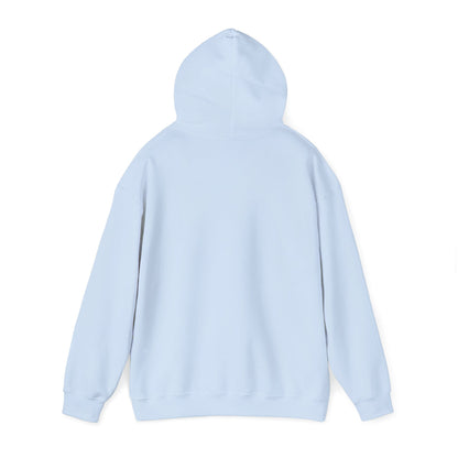 Hoodie — "Don't Be Afraid to Get On Top. If He Dies, He Dies" Retro Flamingo Graphic